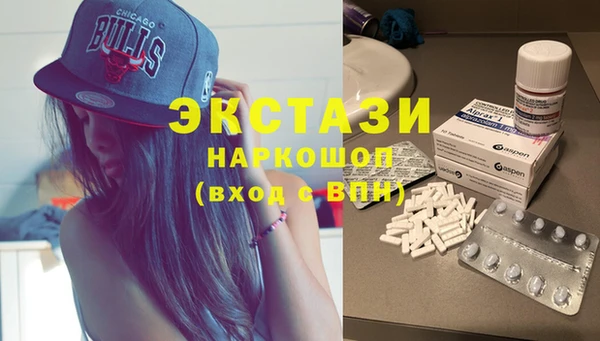 гашик Алексин