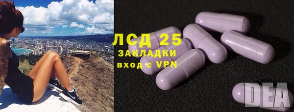 сатива Мегион