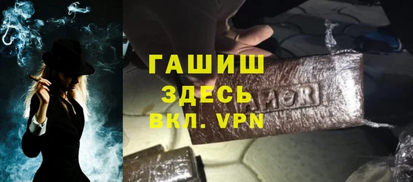 гашик Алексин