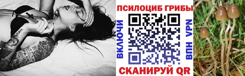 блэк спрут маркетплейс  Трёхгорный  Галлюциногенные грибы ЛСД 